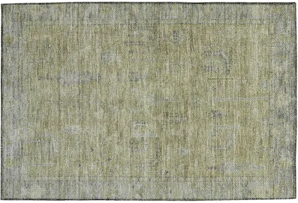 Solace SL11 Aloe 20" x 30" Rug