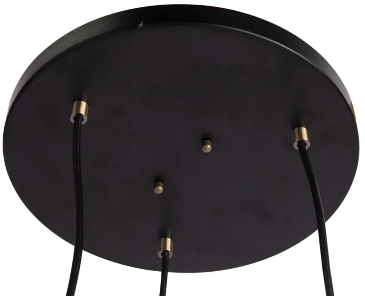 Renmarco Contemporary 3-Light Cluster Pendant in Black