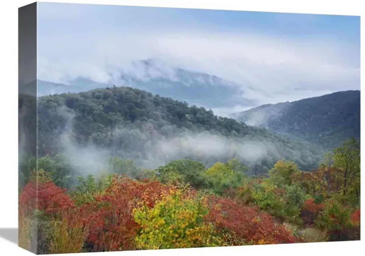 Broadleaf forest in fall colors, Skyline Drive, Shenandoah National Park, Virginia-Canvas Art-16x12