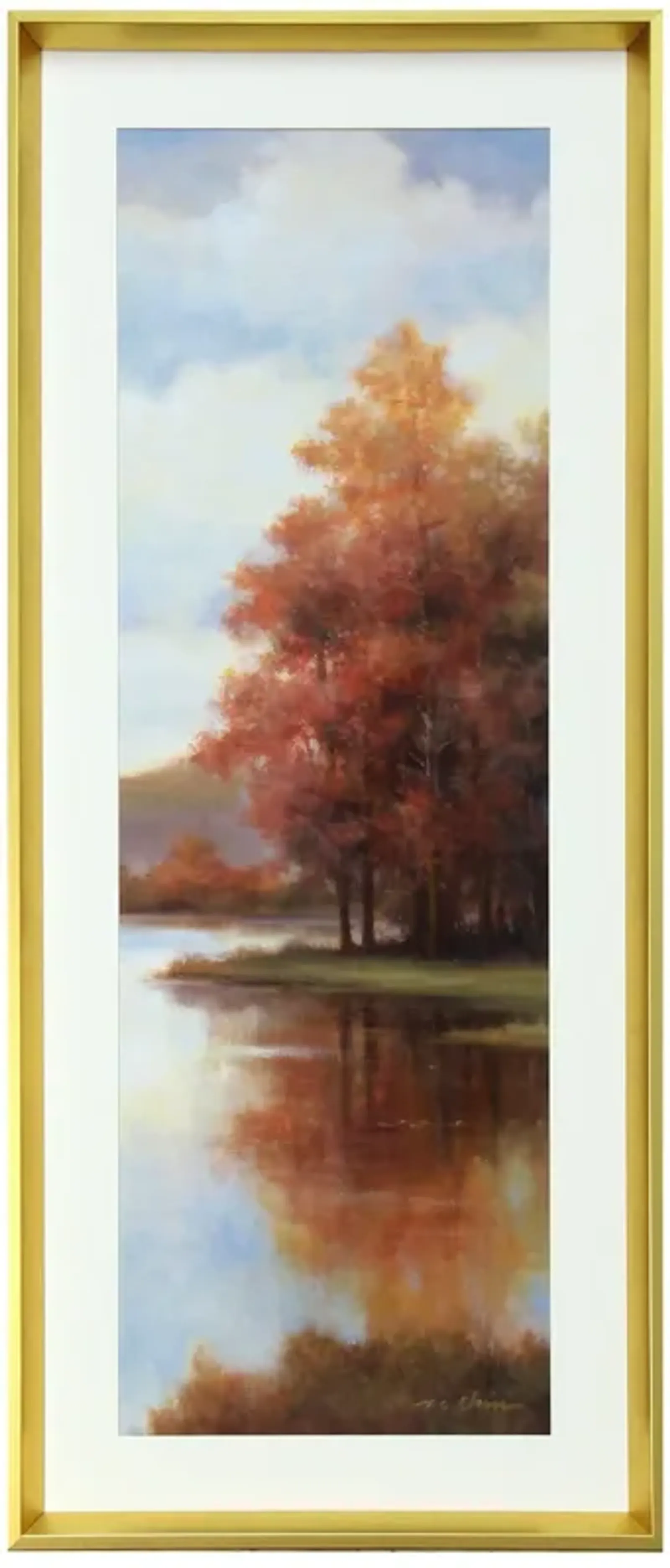 Framed Print 32