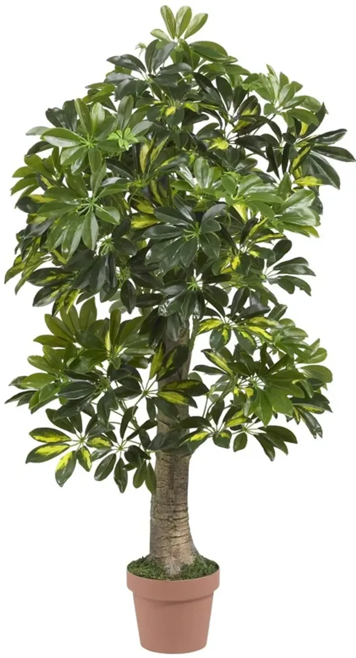 Nearly Natural 4-ft Schefflera Tree (Real Touch)