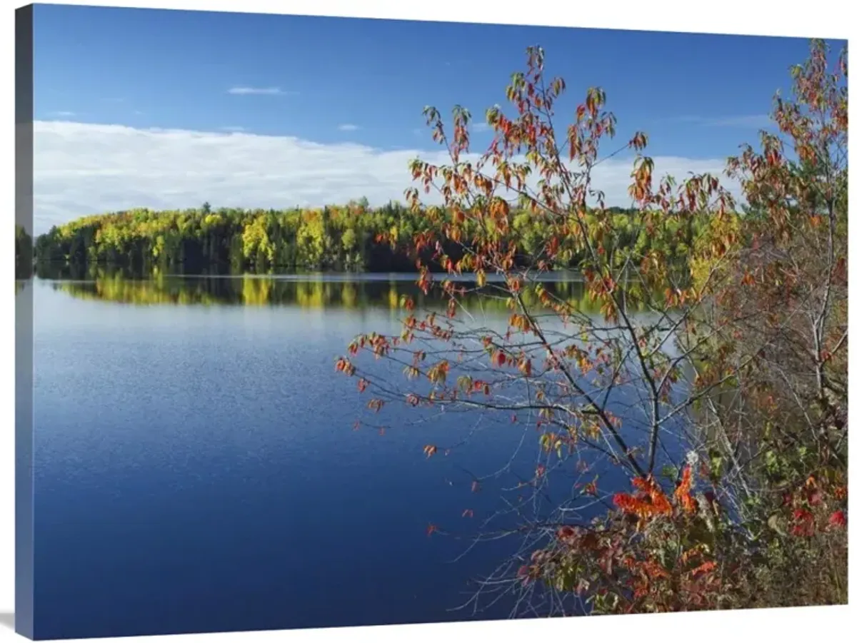 Tobique River, New Brunswick, Canada-Canvas Art-40x30