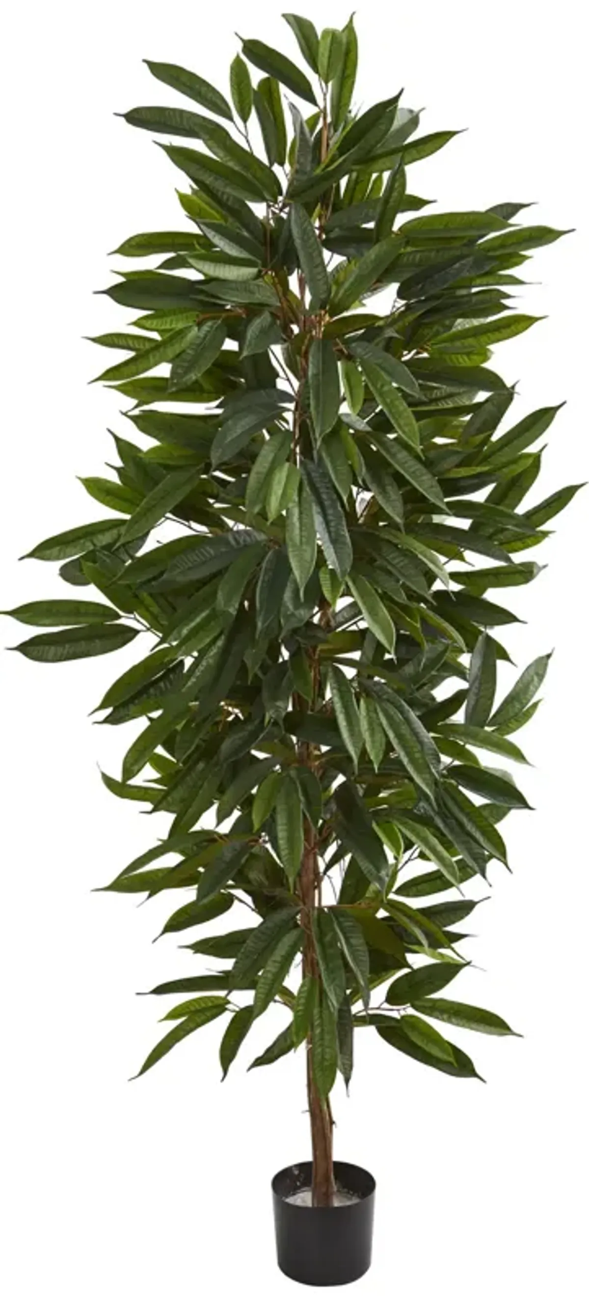 HomPlanti 6.5 Feet Mango Artificial Tree