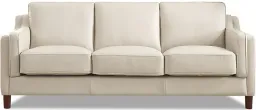 Vanilla White color