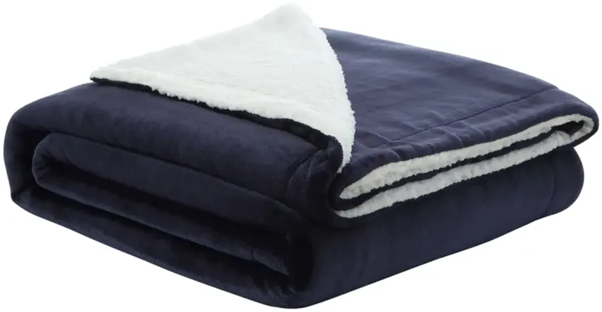 Cozy Tyme Babineaux Flannel Reversible Solid Sherpa Throw Blanket 90"x90"