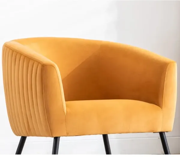 Streamdale Luxurious Design Accent Chair Velvet Clean Line Design Fabric