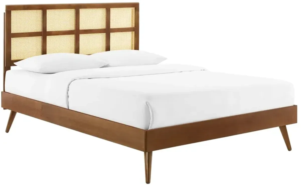 Modway - Sidney Cane and Wood Queen Platform Bed with Splayed Legs