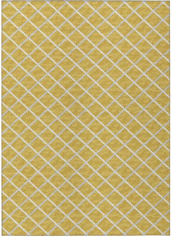 York YO1 Gold 8' x 10' Rug