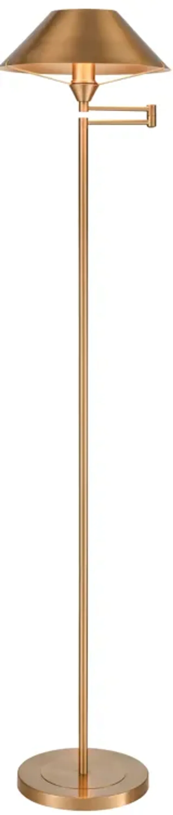 Arcadia 63'' 1-Lt Floor Lamp
