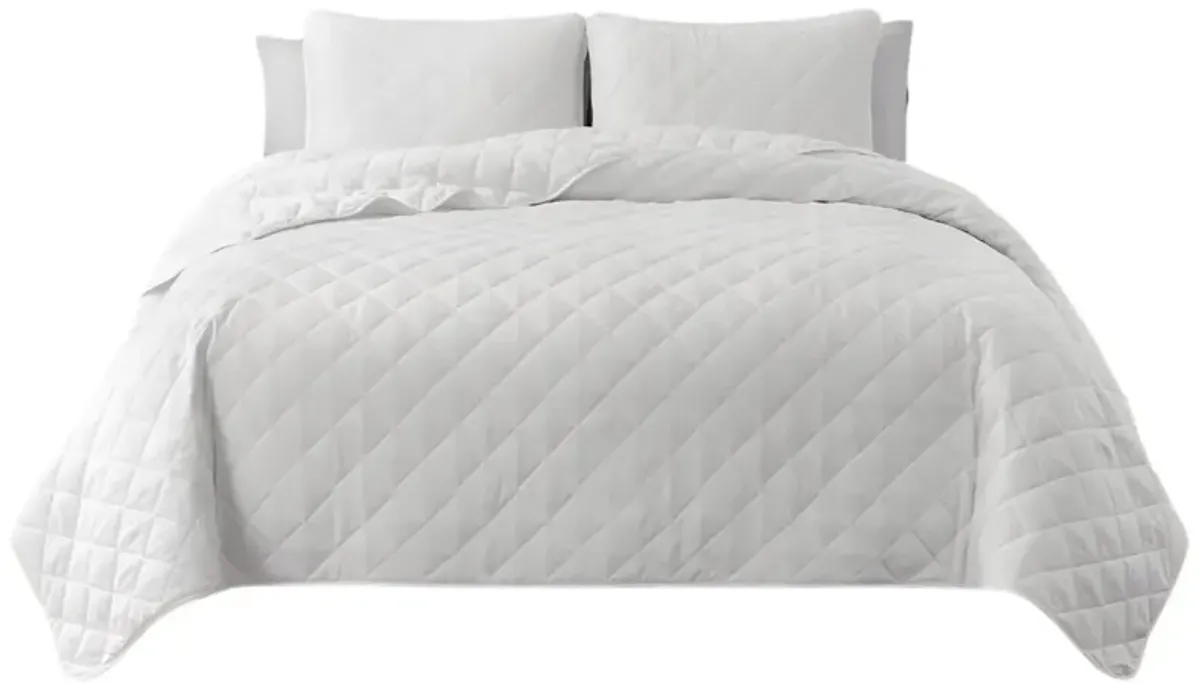 Reversible Microfiber Comforter Set (2-Piece) – Lightweight & Cozy
