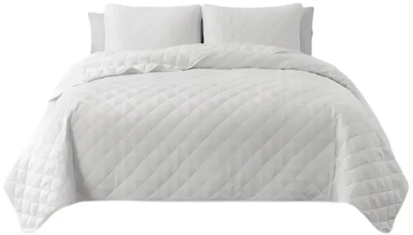 Reversible Microfiber Comforter Set (2-Piece) – Lightweight & Cozy