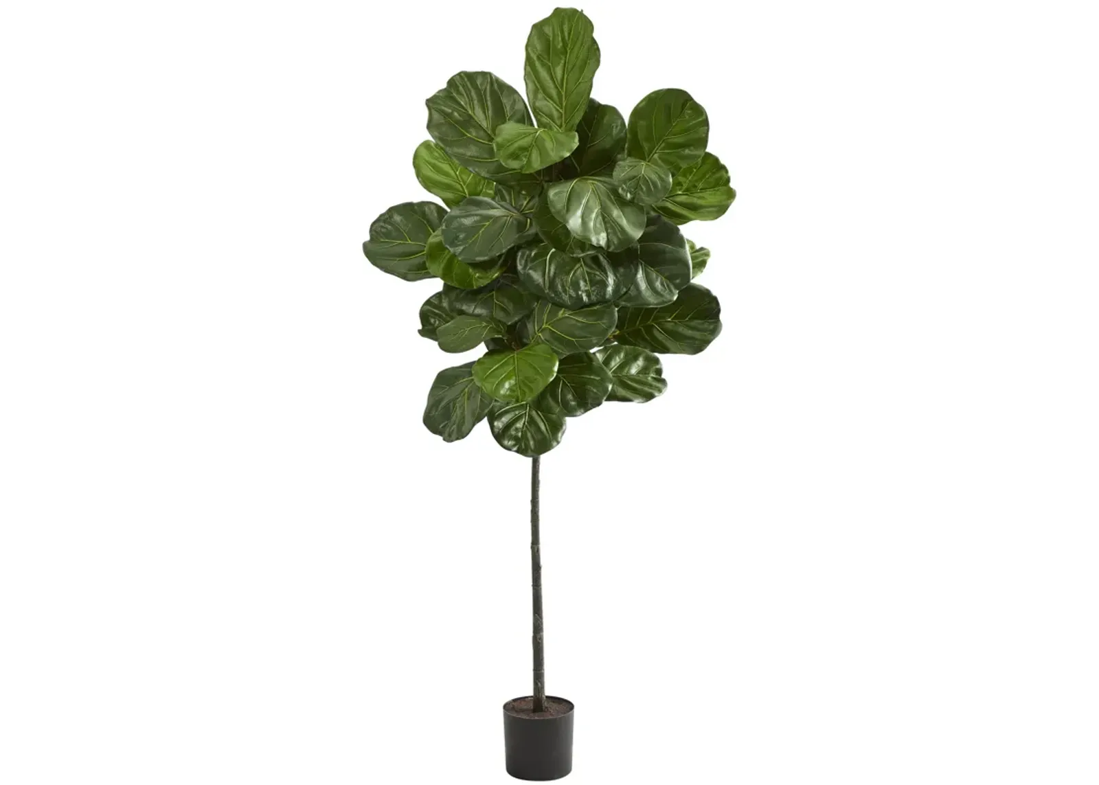 HomPlanti 5.5 Feet Fiddle Leaf Artificial Tree