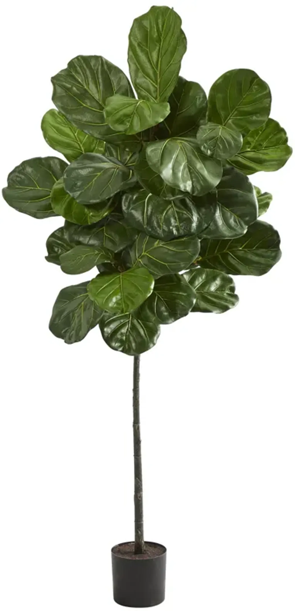 HomPlanti 5.5 Feet Fiddle Leaf Artificial Tree