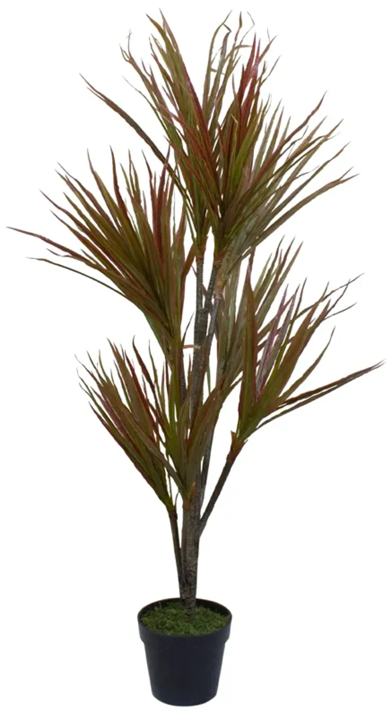 55" Green and Red Artificial Dracaena Potted Plant