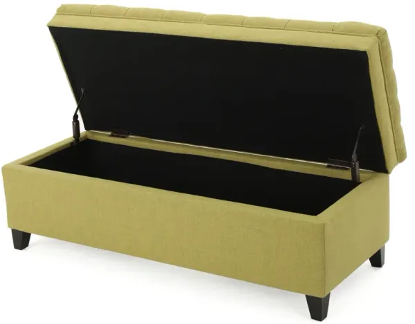 Meraxt Storage Ottoman Bench for Living Room, Bedroom