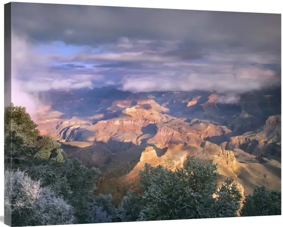 Clearing skies over the South Rim, Grand Canyon National Park, Arizona-Canvas Art-35x28