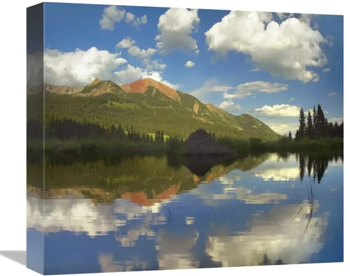 Avery Peak reflected in beaver pond, San Juan Mountains, Colorado-Canvas Art-16x14.08