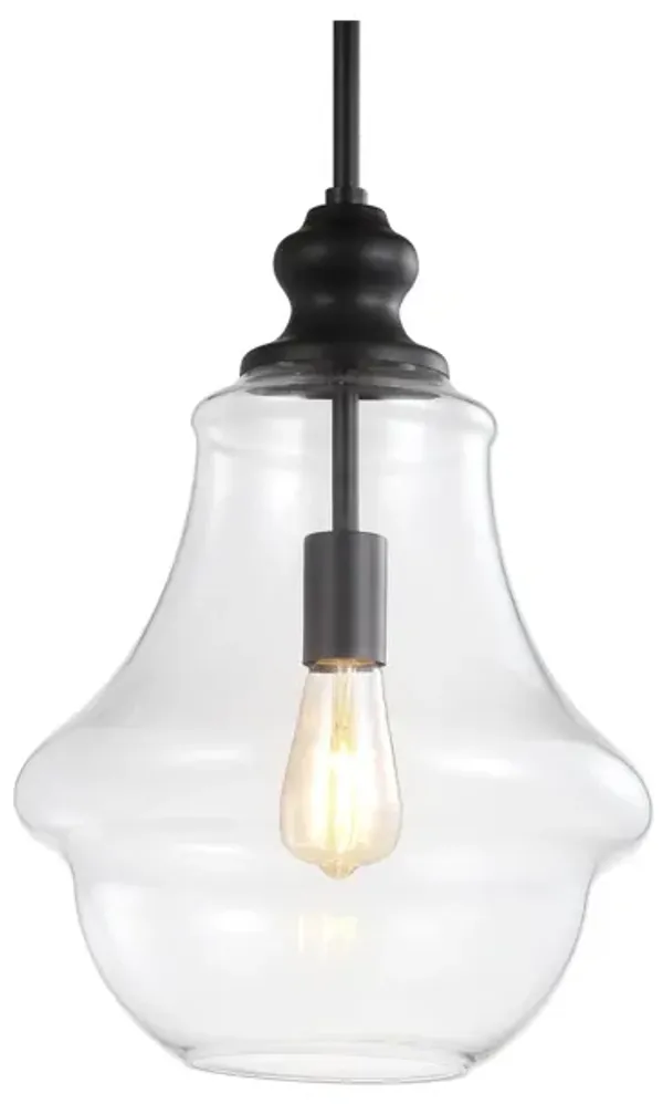 Adam Adjustable Metal/Glass LED Pendant
