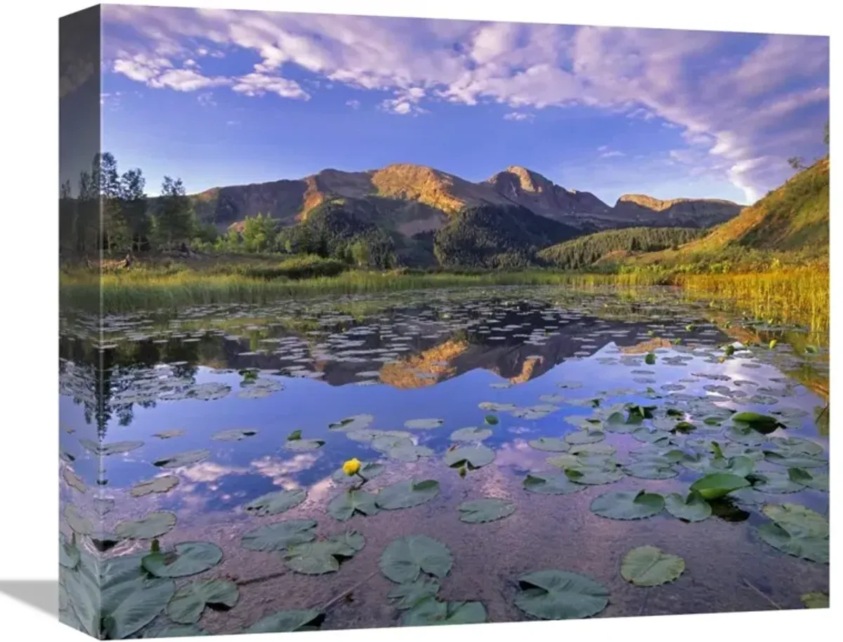 Lily Pads and reflection of Snowdon Peak in pond, west Needle Mountains, Colorado-Canvas Art-16x13.44