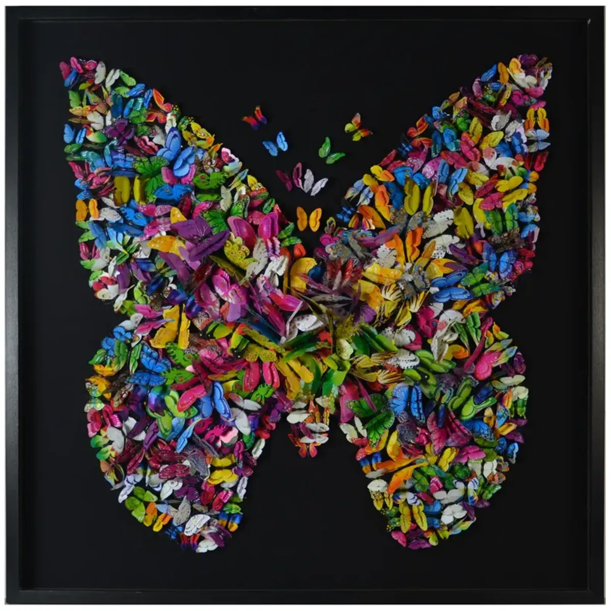 Papillion Framed Art