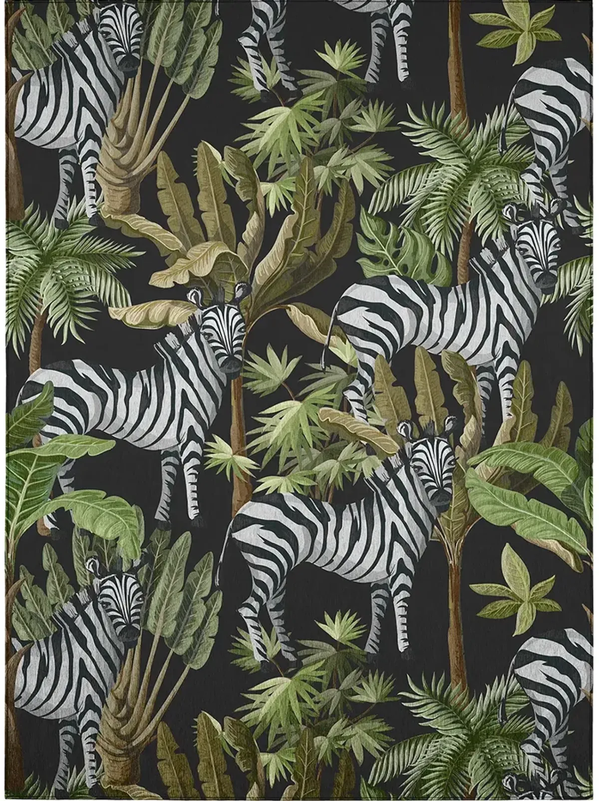 Tropics TC13 Black 5' x 7'6" Rug