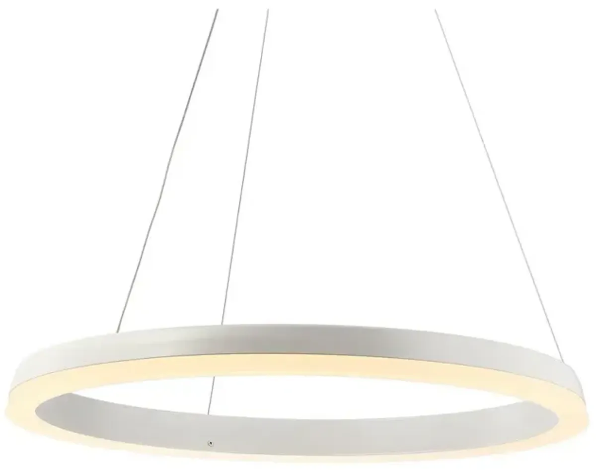 Baxter 23.5" 1-Light Modern Contemporary Aluminum Integrated LED Hoop Pendant