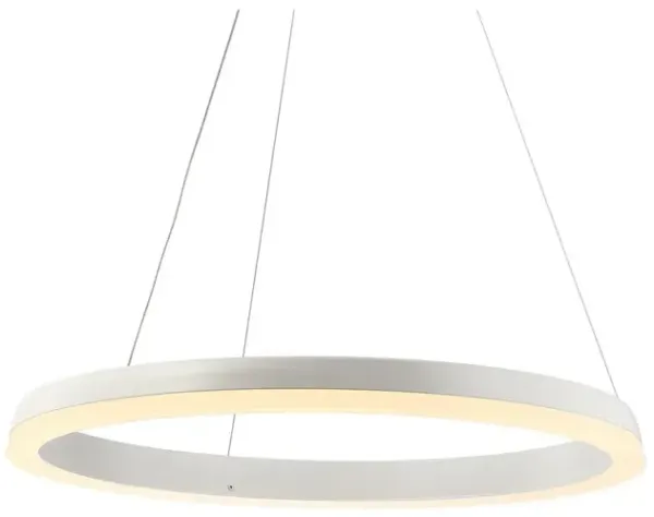 Baxter 23.5" 1-Light Modern Contemporary Aluminum Integrated LED Hoop Pendant