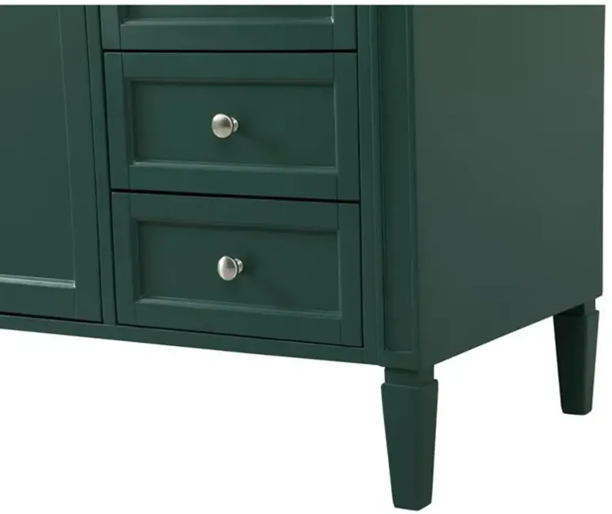 Elegant Kitchen and Bath 60 inch Single bathroom vanity in green