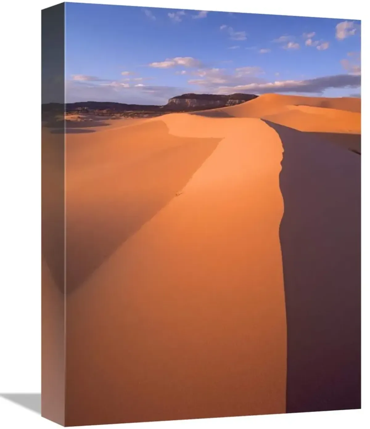 Wind ripples in sand dunes, Coral Pink Sand Dunes State Park, Utah-Canvas Art-12x16