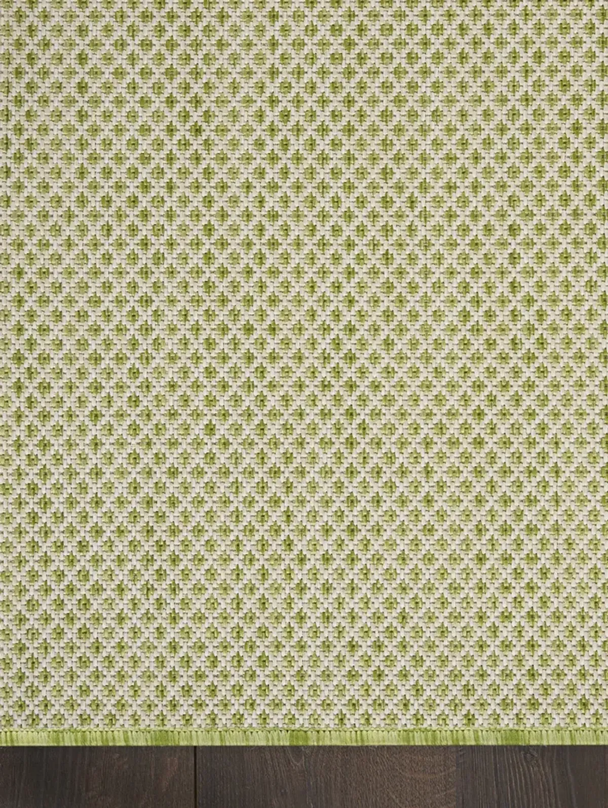 Courtyard COU01 Ivory/Green 2' x 6' Rug
