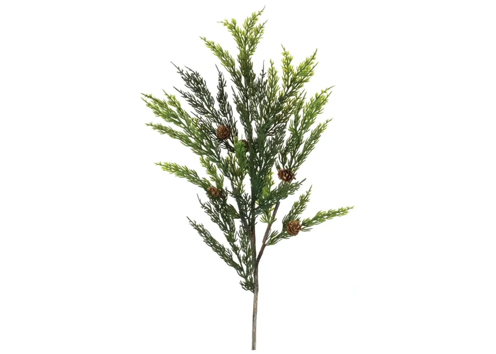 Pine Spray (Set of 6)