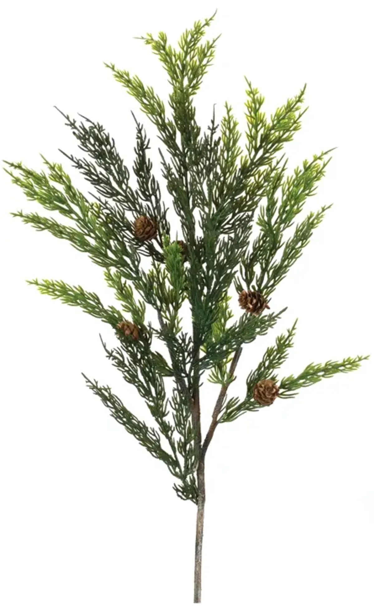 Pine Spray (Set of 6)