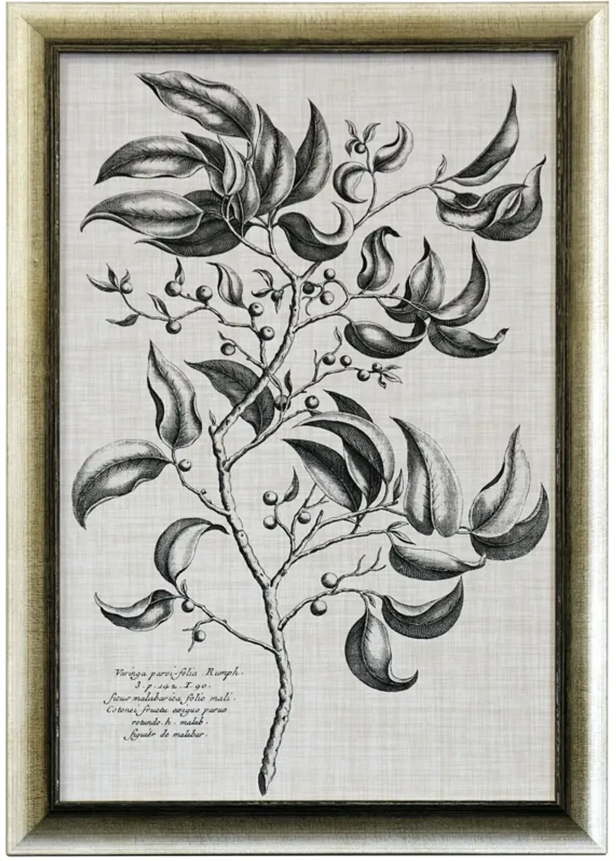 BLACK & OATMEAL BOTANICAL III