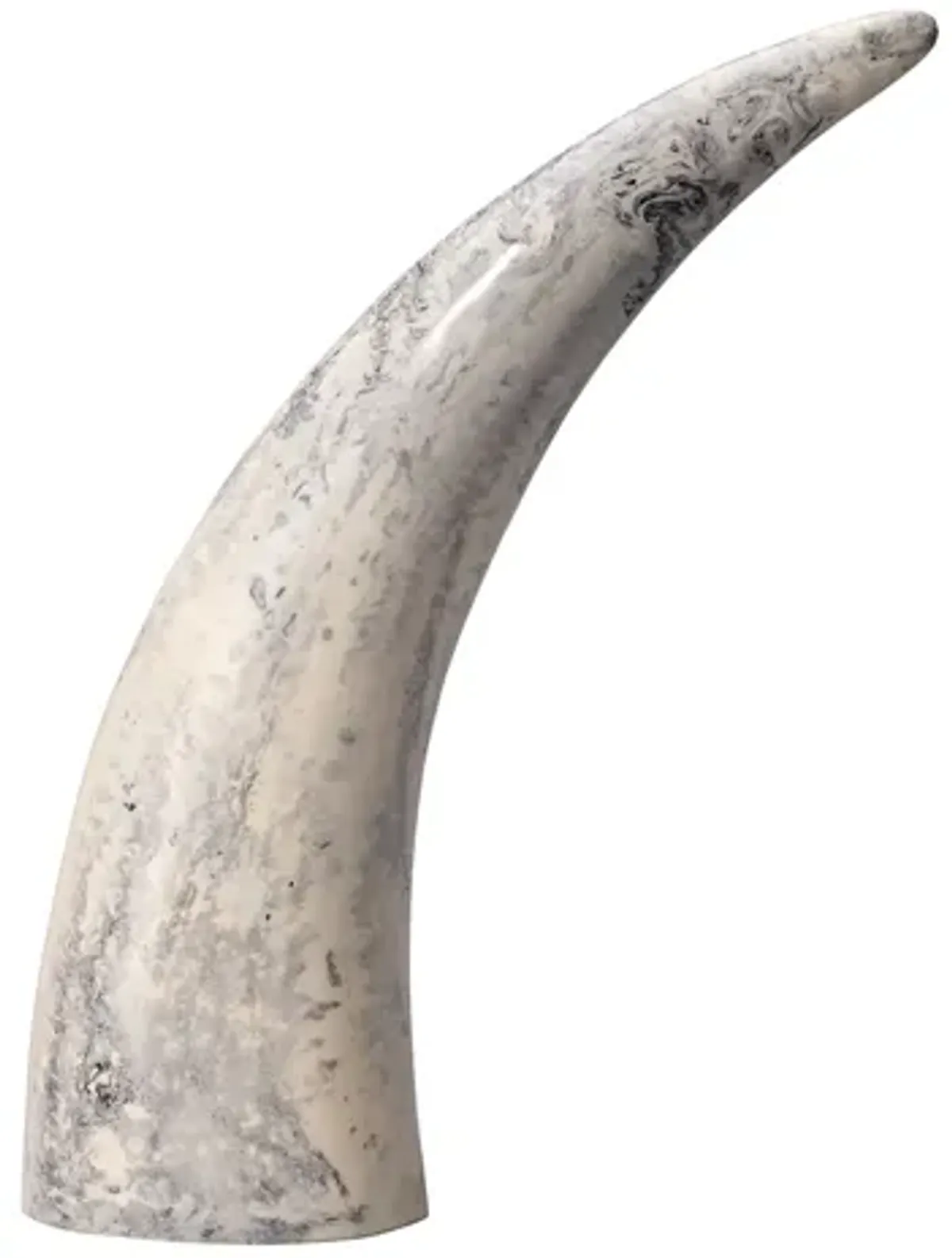 Variegated Horn