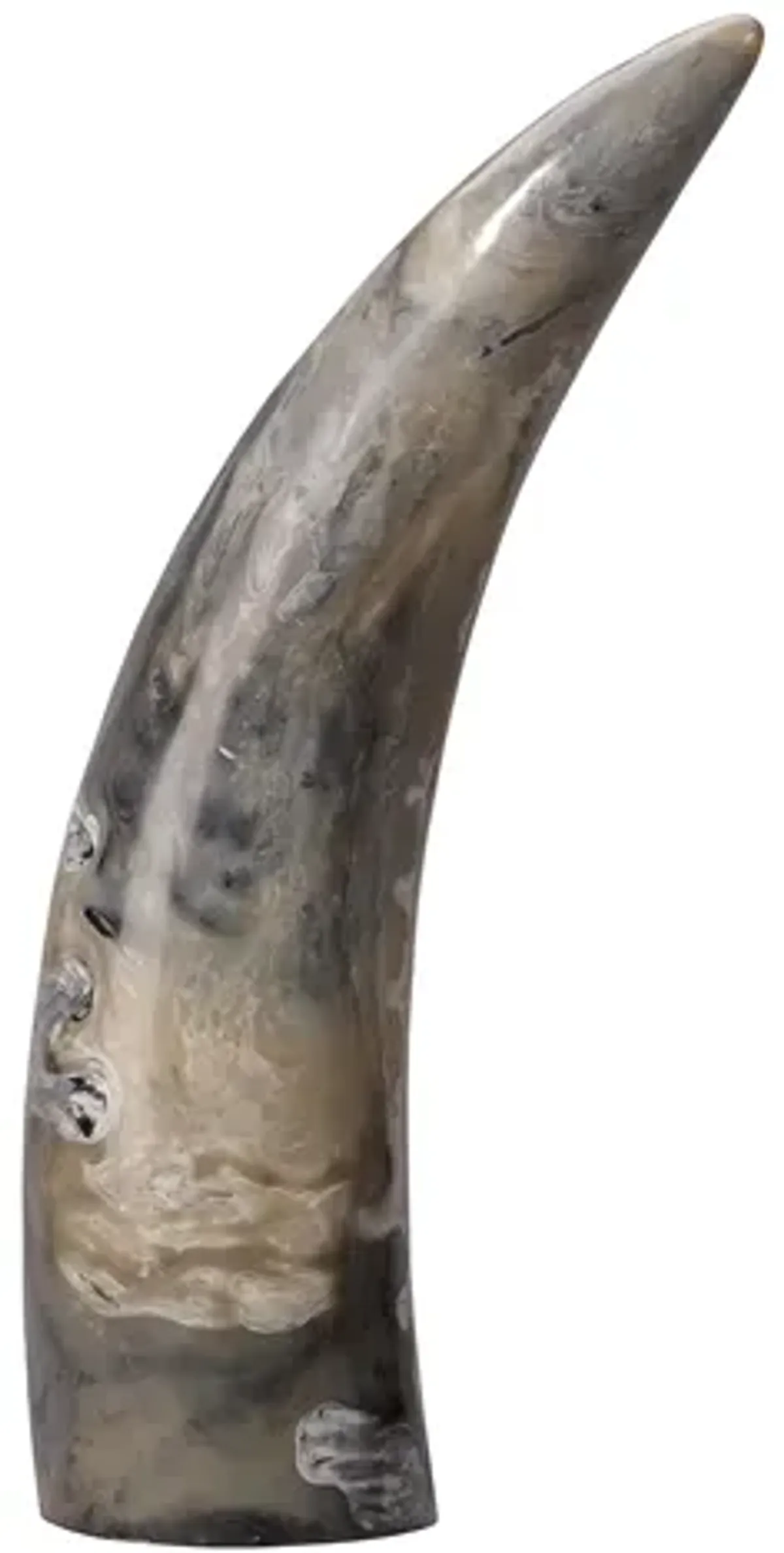 Variegated Horn