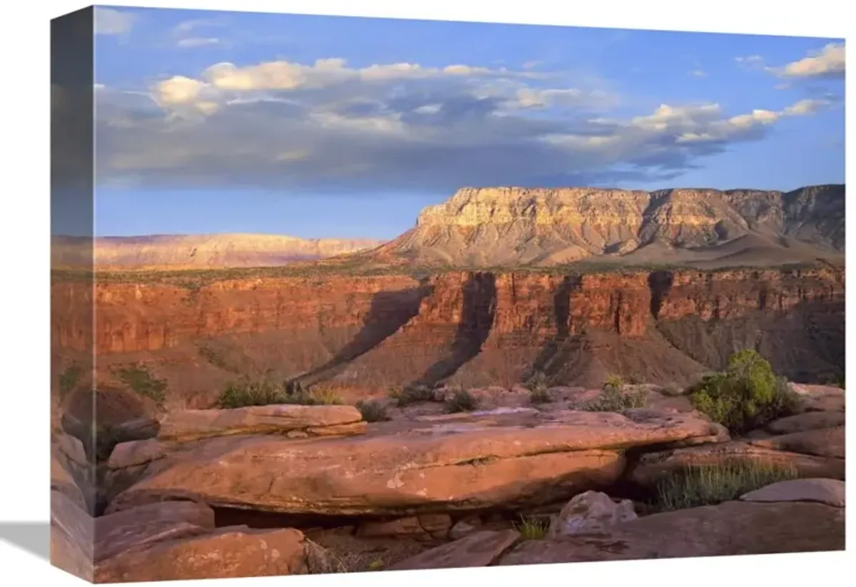 Aubrey Cliffs from Toroweap Overlook, Grand Canyon National Park, Arizona-Canvas Art-16x12