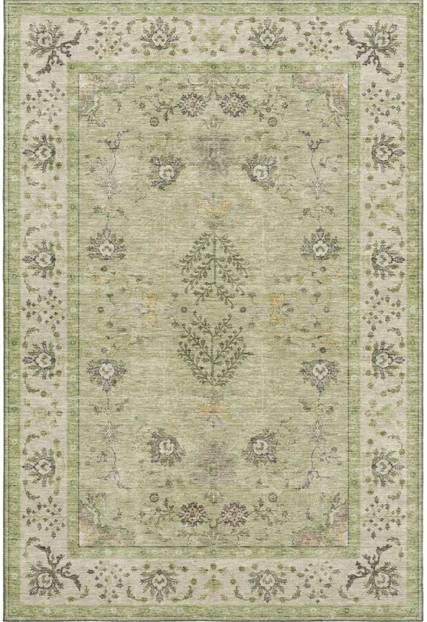 Hatay HY9 Aloe 8' x 10' Rug
