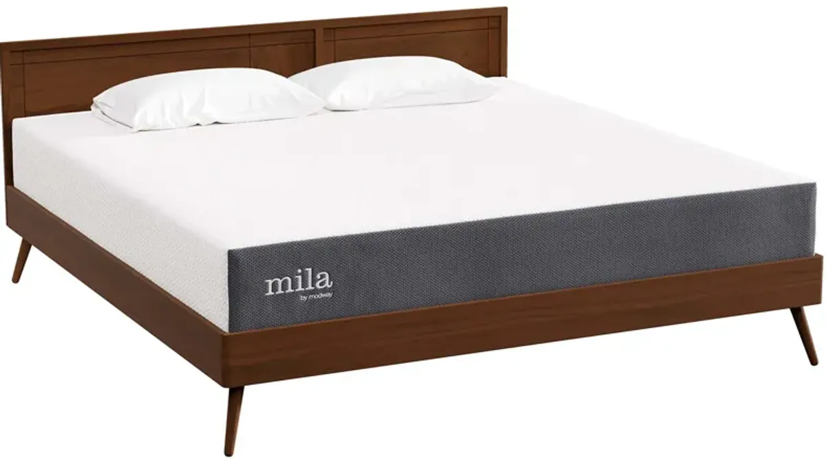 Mila 10" King Mattress