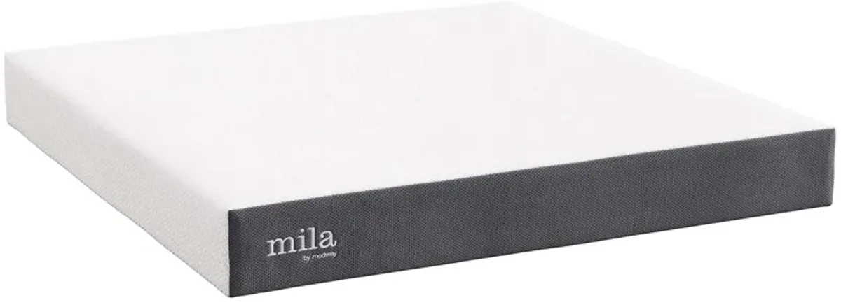 Mila 10" King Mattress