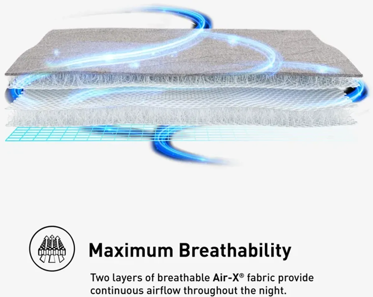 AIR-X Queen Mattress Protector