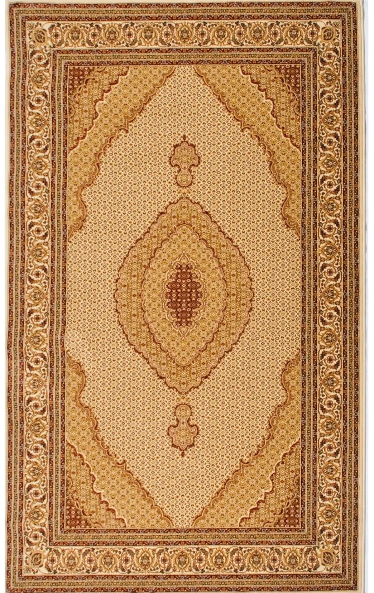 Majestic Traditional Moroccan Indoor Area Rug