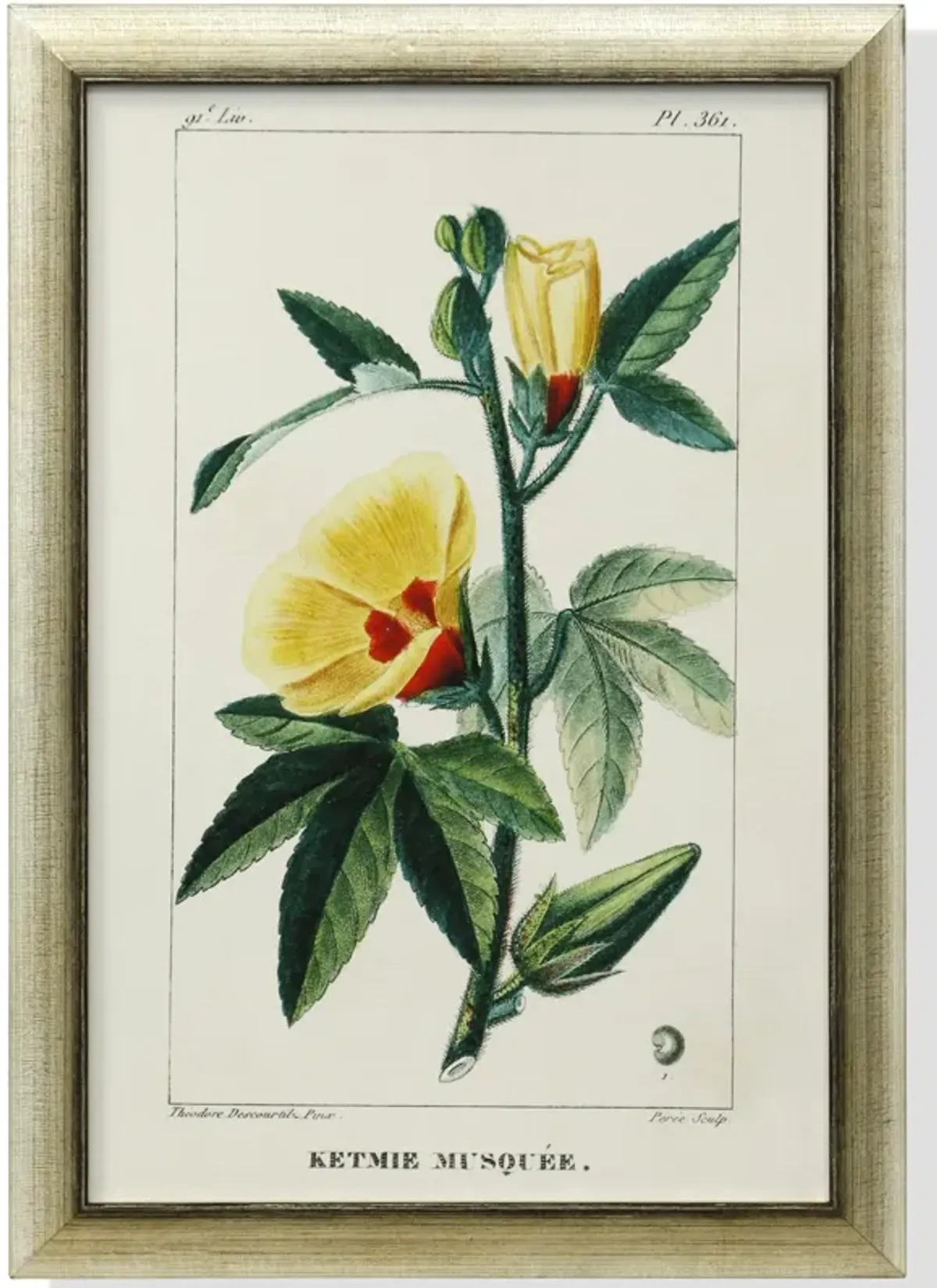 Framed Print Under Glass