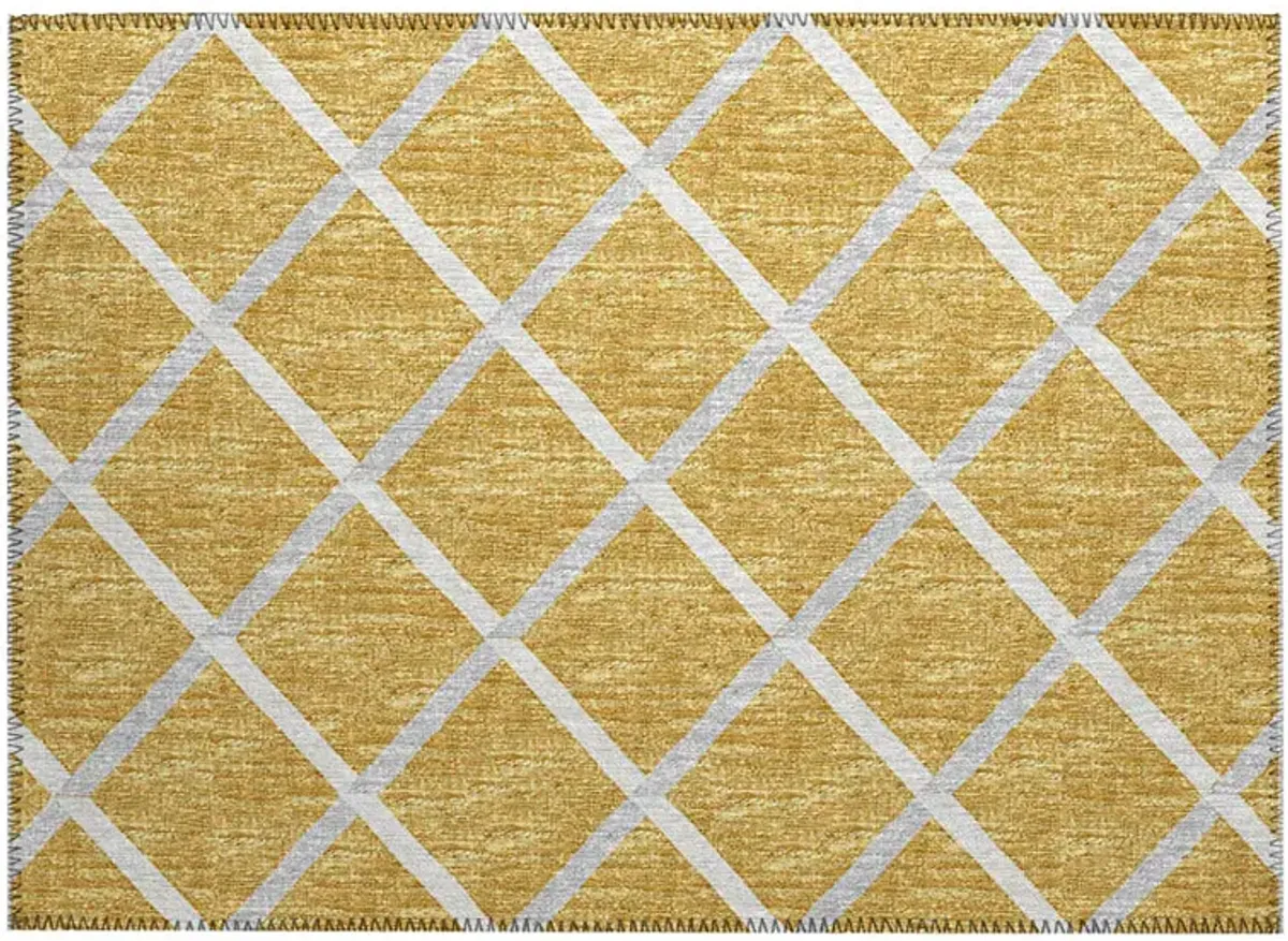 York YO1 Gold 20" x 30" Rug