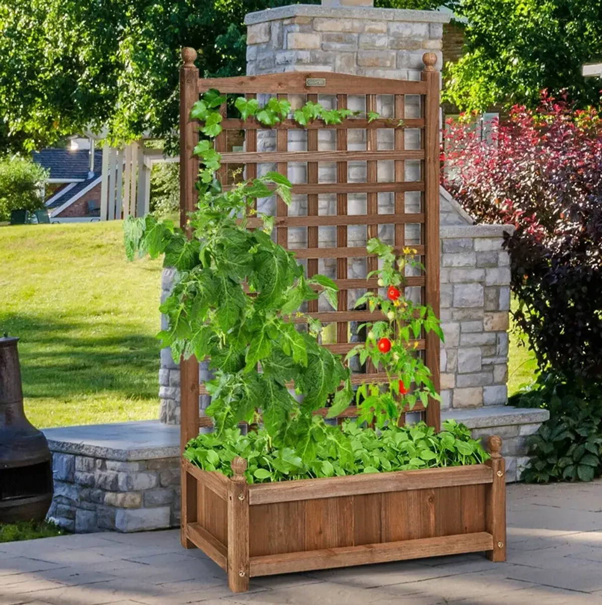 Solid Free Standing Wood Planter Box with Trellis for Garden