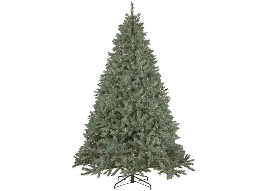 7.5' Pre-Lit Full Newport Spruce Artificial Christmas Tree  LED Lights