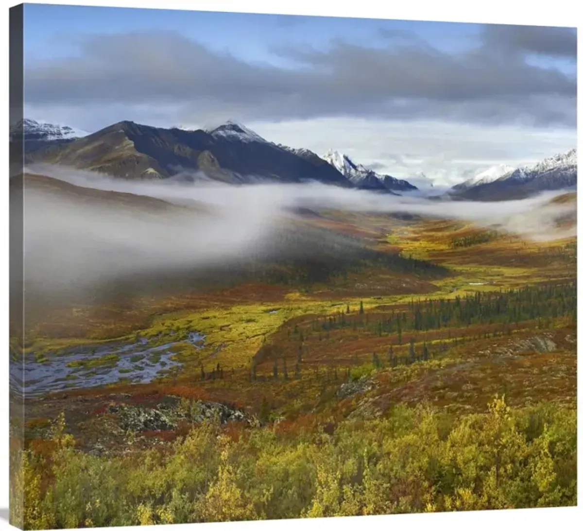 Fog over tundra, Tombstone Range, Tombstone Territorial Park, Yukon, Canada-Canvas Art-36x32.76