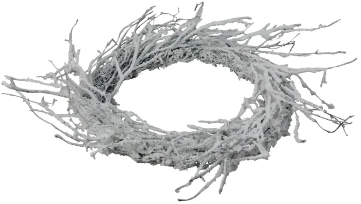 Snow Flocked and Iridescent Glitter Twig Artificial Christmas Wreath - 24-Inch  Unlit