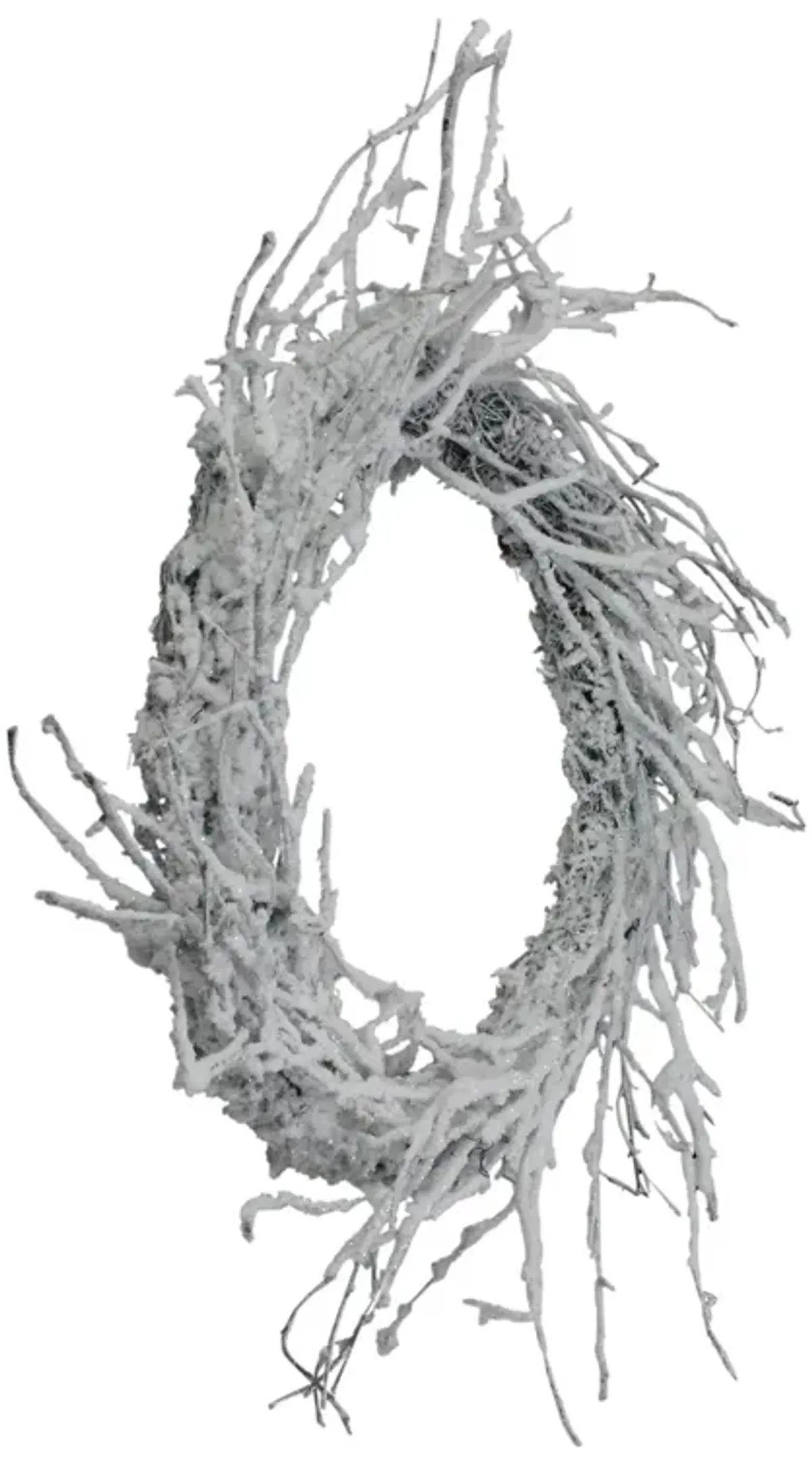 Snow Flocked and Iridescent Glitter Twig Artificial Christmas Wreath - 24-Inch  Unlit