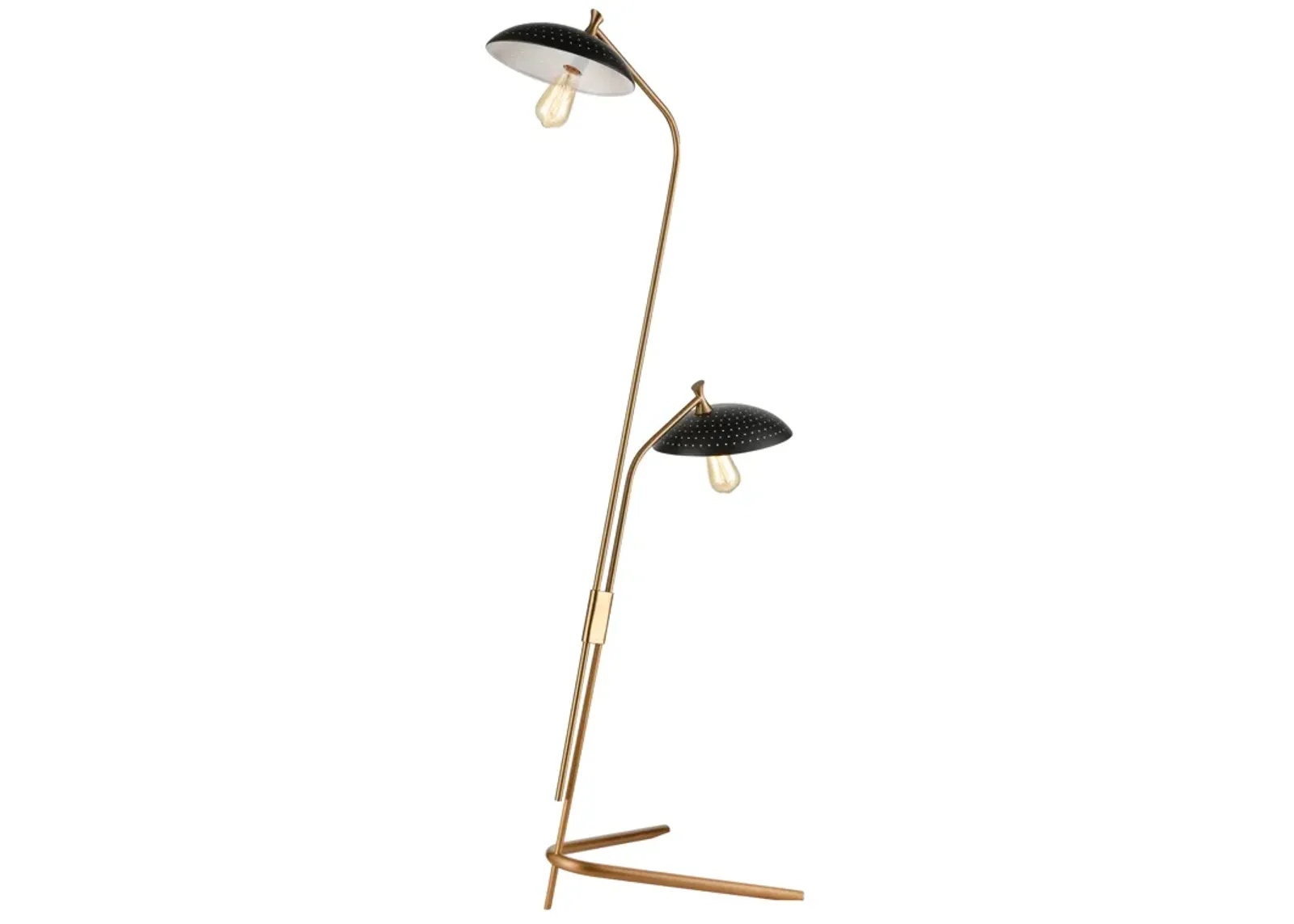 Scarab 66" 2-Light Floor Lamp