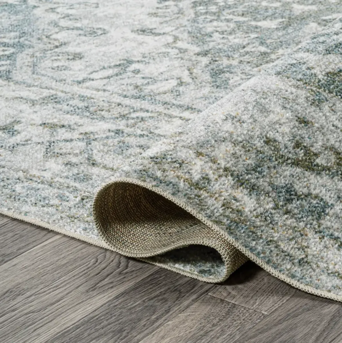 Pavel Distressed Medallion Low-Pile Machine-Washable Rug